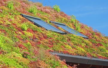 Boughton Heath living roof systems